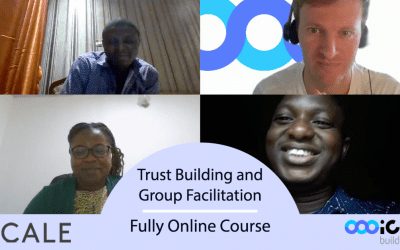 In Collaboration with 2SCALE – Lessons learned from our first fully online course